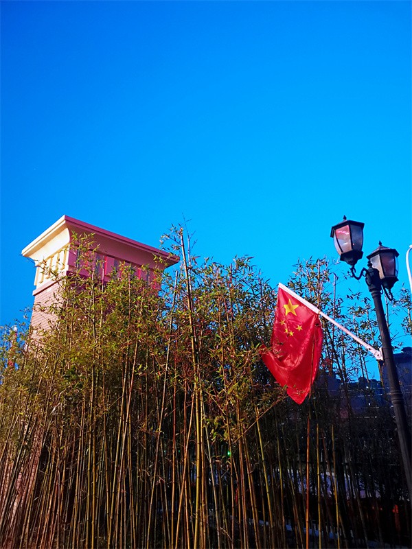 4.生在紅旗下，長(zhǎng)在春風(fēng)里的翠竹.jpg