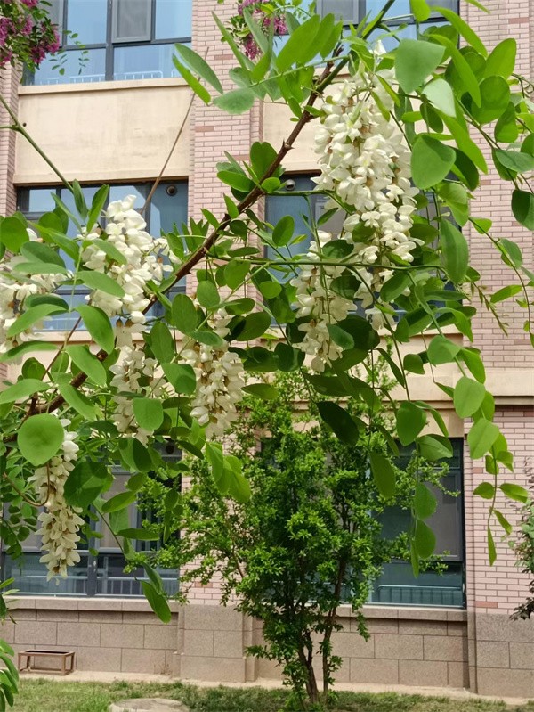 1651744592667045207.jpg